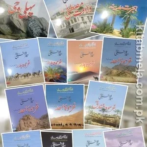 Seerat Un Nabi SAW Series of 14 Books Set For Kids (4 Colors Illustrated)